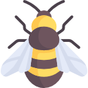 bee