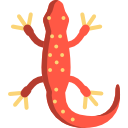 salamander